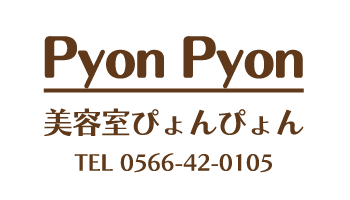 愛知県碧南市池下町の美容室美容院pyonpyonぴょんぴょん